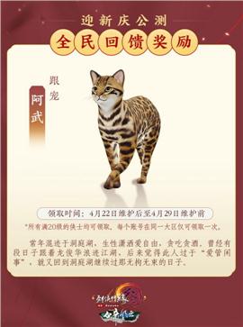 第九大陆 天龙八部私服